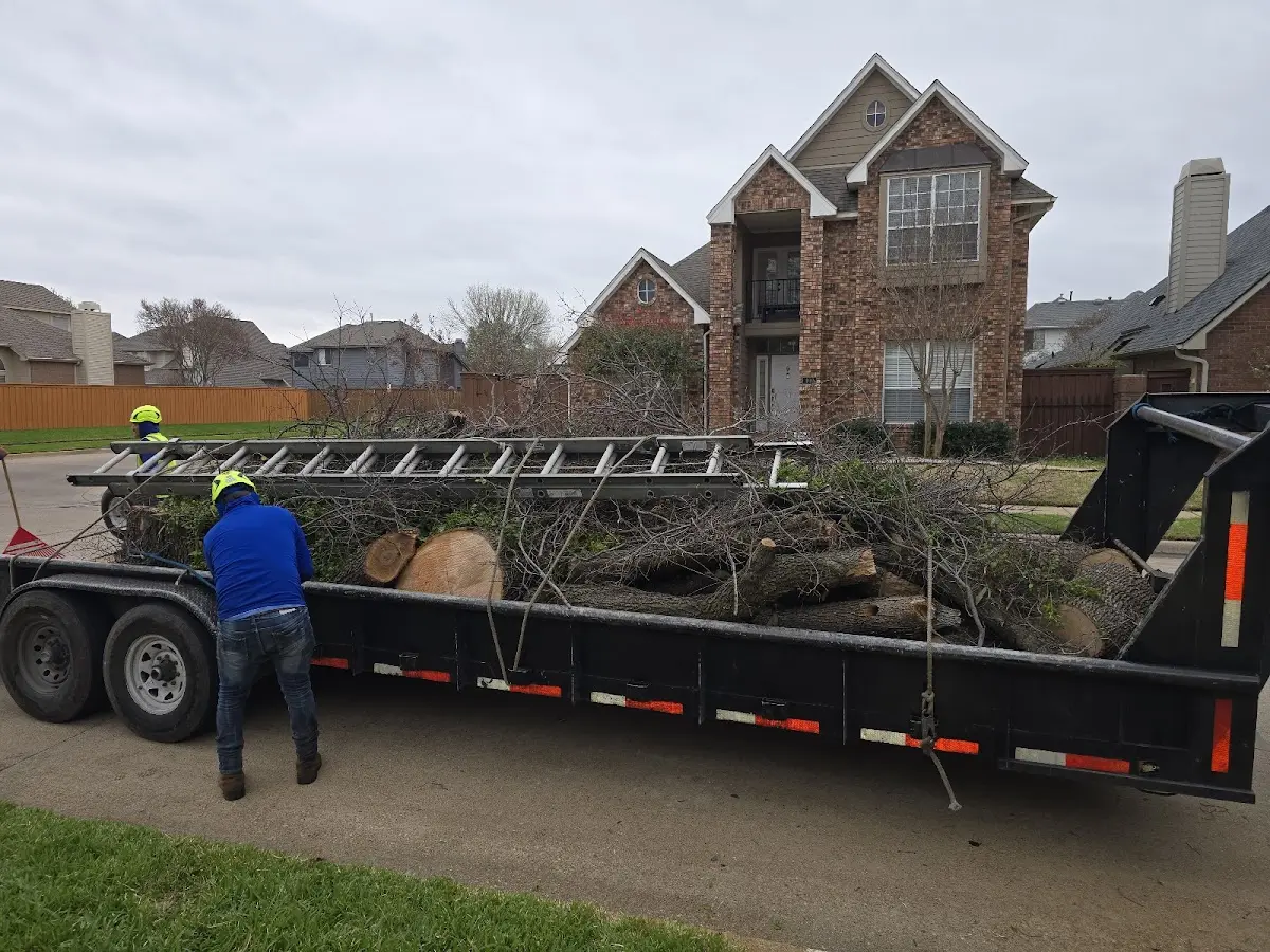 Expert Tree Fertilization with proper safety equipment in Iaeger